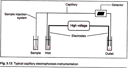 Electrophoresis Chart