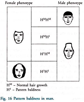 genes for sex influenced traits are carried on Genes for sex influenced traits are carried on