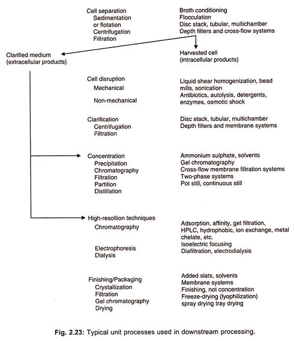 Protein Purification Process Flow Chart