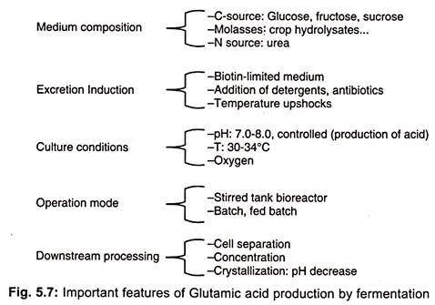 Glutamic Acid Production Flow Chart