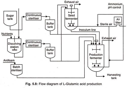 Glutamic Acid Production Flow Chart