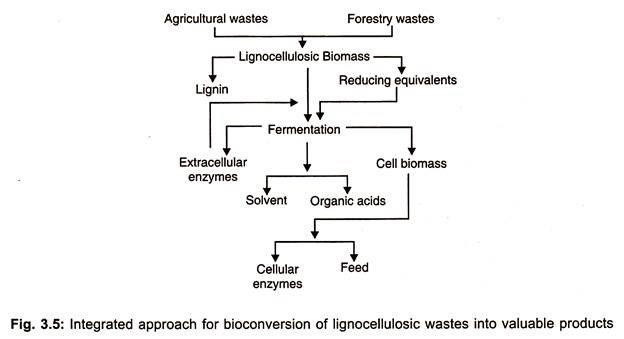 Ethanol Production Flow Chart