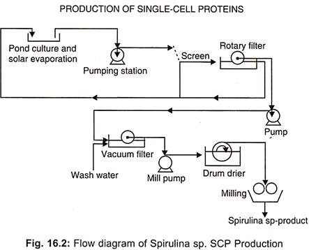 Baker S Yeast Production Flow Chart