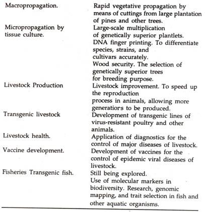 Summary of Applications of Modern Biotechnology to Agriculture 2