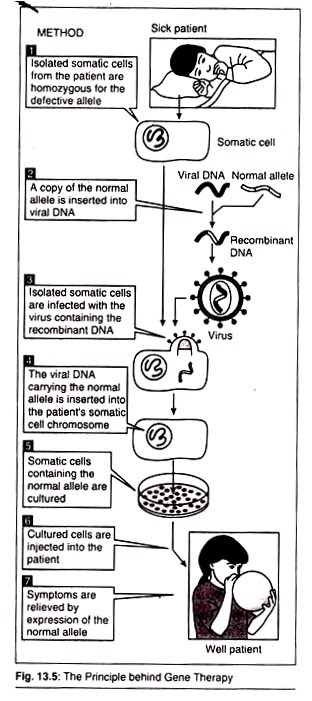 The Principle behing Gene Therapy