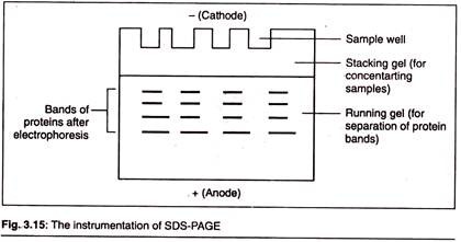 Instrumentation of SDS-PAGE