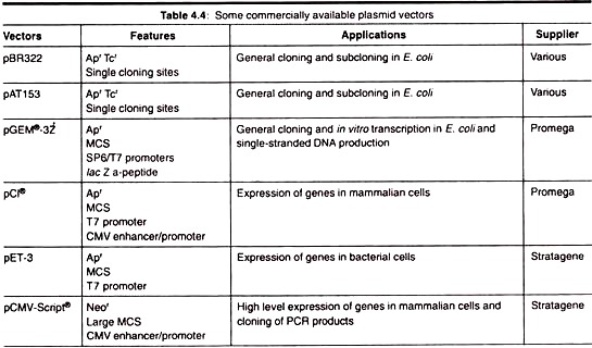 Plalsmid Vectors