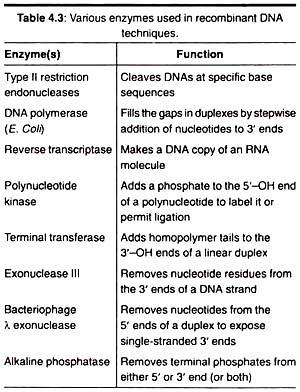 Various Enzymes Used in Recombinant DNA Techniques