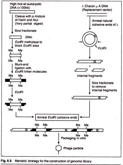 Characterization of Liposome Properties by Various Techniques