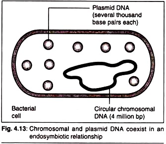 Types of Biomolecules