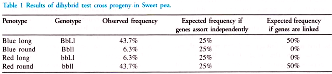 Results of Dihybrid Test Cross Progeny in Sweet  Pea