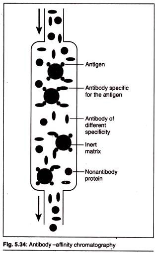 Criss-Cross Inheritance- Inheritance of Haemophilia